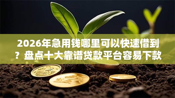 2026年急用钱哪里可以快速借到?盘点十大靠谱贷款平台容易下款 2026年急用钱哪里可以快速借到?盘点十大靠谱贷款平台容易下款
