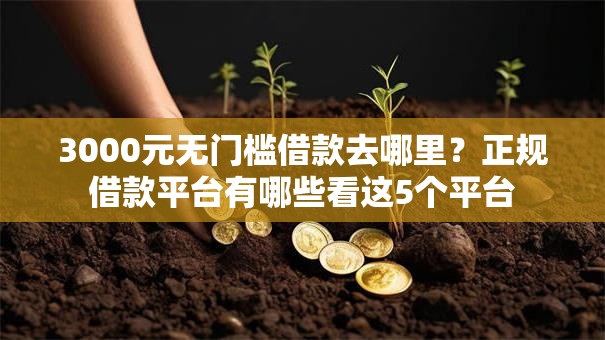3000元无门槛借款去哪里？正规借款平台有哪些看这5个平台