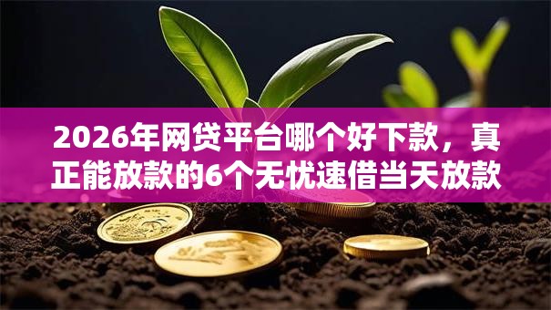 2026年网贷平台哪个好下款，真正能放款的6个无忧速借当天放款的平台推荐
