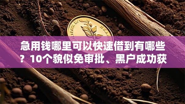急用钱哪里可以快速借到有哪些？10个貌似免审批、黑户成功获取大额贷款的口子合集