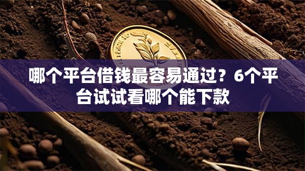 哪个平台借钱最容易通过？6个平台试试看哪个能下款