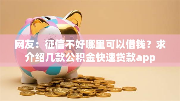 网友：征信不好哪里可以借钱？求介绍几款公积金快速贷款app