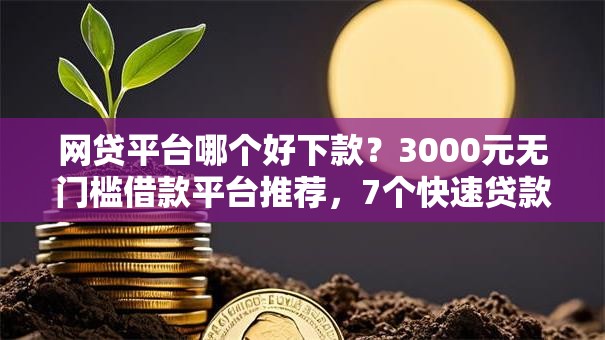 网贷平台哪个好下款？3000元无门槛借款平台推荐，7个快速贷款平台盘点