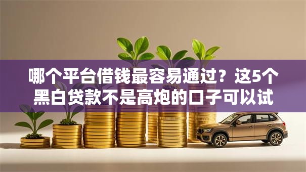 哪个平台借钱最容易通过？这5个黑白贷款不是高炮的口子可以试试