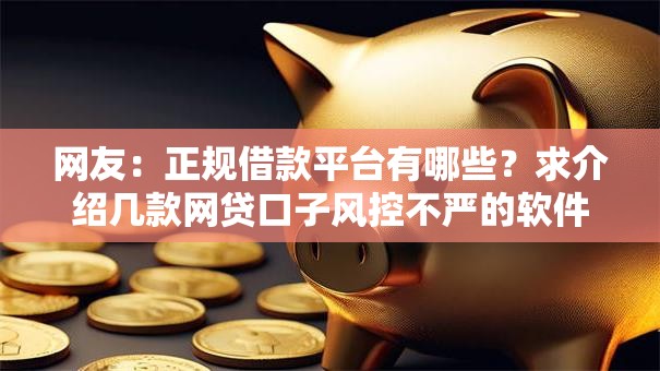 网友：正规借款平台有哪些？求介绍几款网贷口子风控不严的软件