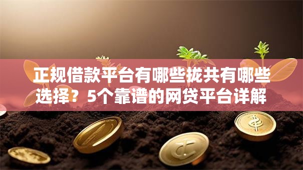 正规借款平台有哪些拢共有哪些选择?5个靠谱的网贷平台详解 正规借款平台有哪些拢共有哪些选择?5个靠谱的网贷平台详解