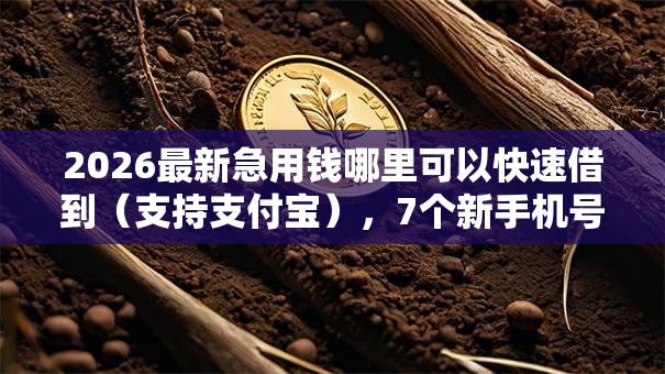 2026最新急用钱哪里可以快速借到（支持支付宝），7个新手机号容易下款的平台无私分享