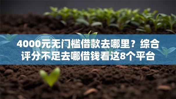 4000元无门槛借款去哪里?综合评分不足去哪借钱看这8个平台 4000元无门槛借款去哪里?综合评分不足去哪借钱看这8个平台