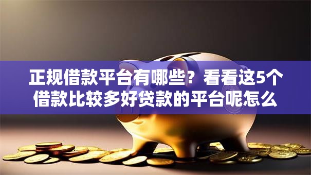 正规借款平台有哪些？看看这5个借款比较多好贷款的平台呢怎么样