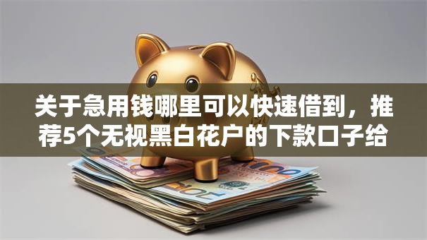 关于急用钱哪里可以快速借到，推荐5个无视黑白花户的下款口子给你