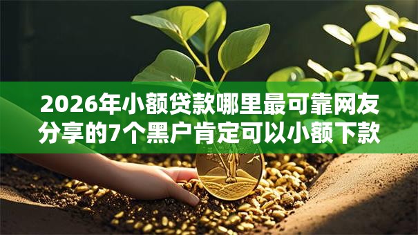 2026年小额贷款哪里最可靠网友分享的7个黑户肯定可以小额下款的平台我觉得不错！