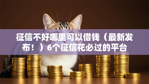 征信不好哪里可以借钱（最新发布！）6个征信花必过的平台
