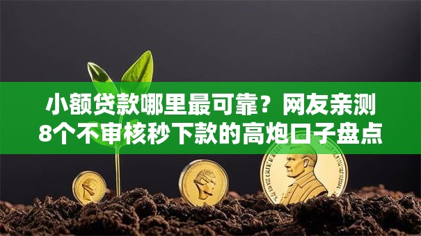 小额贷款哪里最可靠？网友亲测8个不审核秒下款的高炮口子盘点