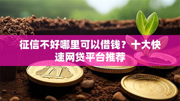 征信不好哪里可以借钱？十大快速网贷平台推荐