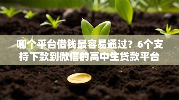 哪个平台借钱最容易通过？6个支持下款到微信的高中生贷款平台