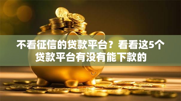 不看征信的贷款平台？看看这5个贷款平台有没有能下款的