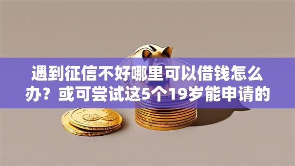 遇到征信不好哪里可以借钱怎么办?或可尝试这5个19岁能申请的借钱平台 遇到征信不好哪里可以借钱怎么办?或可尝试这5个19岁能申请的借钱平台