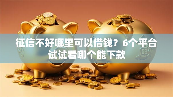 征信不好哪里可以借钱？6个平台试试看哪个能下款