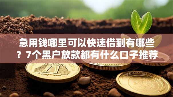 急用钱哪里可以快速借到有哪些?7个黑户放款都有什么口子推荐给你 急用钱哪里可以快速借到有哪些?7个黑户放款都有什么口子推荐给你