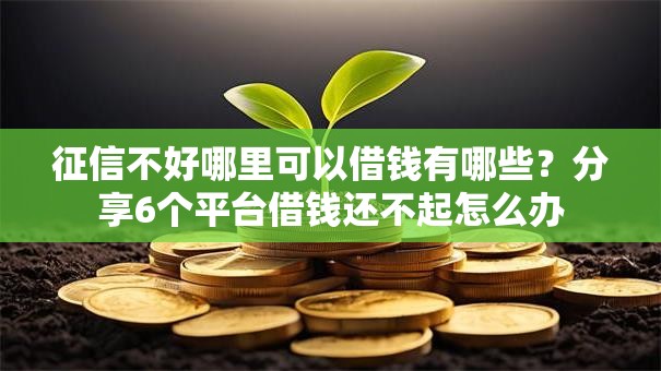 征信不好哪里可以借钱有哪些?分享6个平台借钱还不起怎么办 征信不好哪里可以借钱有哪些?分享6个平台借钱还不起怎么办