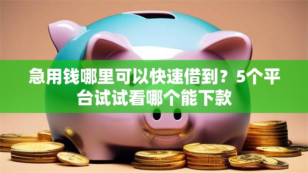 急用钱哪里可以快速借到?5个平台试试看哪个能下款 急用钱哪里可以快速借到?5个平台试试看哪个能下款