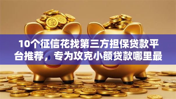 10个征信花找第三方担保贷款平台推荐，专为攻克小额贷款哪里最可靠难题