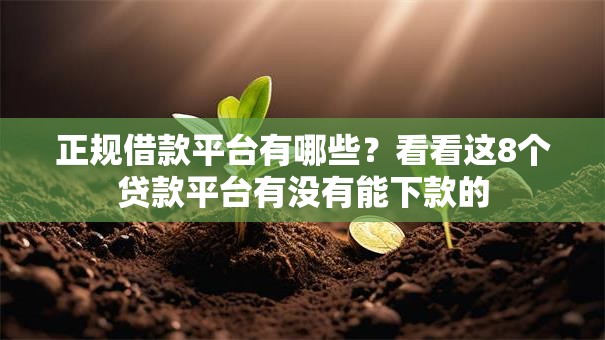 正规借款平台有哪些?看看这8个贷款平台有没有能下款的 正规借款平台有哪些?看看这8个贷款平台有没有能下款的