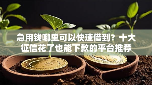 急用钱哪里可以快速借到？十大征信花了也能下款的平台推荐