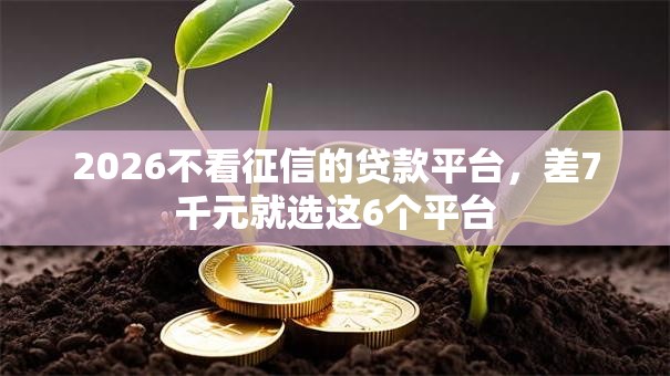 2026不看征信的贷款平台，差7千元就选这6个平台