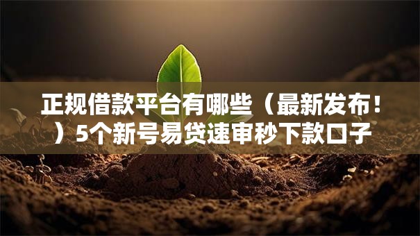 正规借款平台有哪些（最新发布！）5个新号易贷速审秒下款口子
