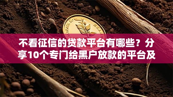 不看征信的贷款平台有哪些？分享10个专门给黑户放款的平台及征信呆账相关