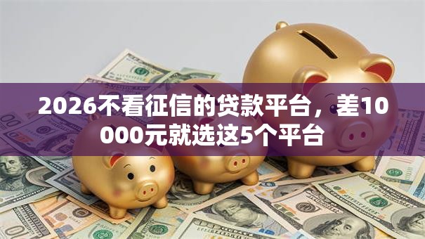 2026不看征信的贷款平台,差10000元就选这5个平台 2026不看征信的贷款平台,差10000元就选这5个平台