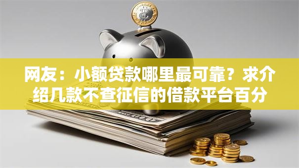 网友：小额贷款哪里最可靠？求介绍几款不查征信的借款平台百分百通过