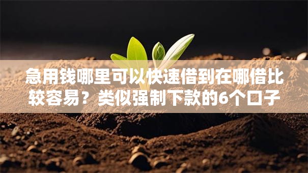 急用钱哪里可以快速借到在哪借比较容易？类似强制下款的6个口子参考