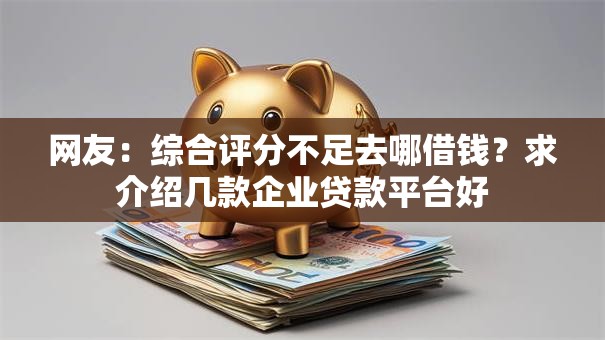 网友：综合评分不足去哪借钱？求介绍几款企业贷款平台好