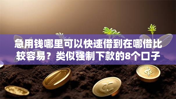 急用钱哪里可以快速借到在哪借比较容易？类似强制下款的8个口子参考