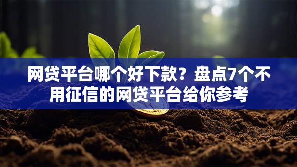 网贷平台哪个好下款？盘点7个不用征信的网贷平台给你参考