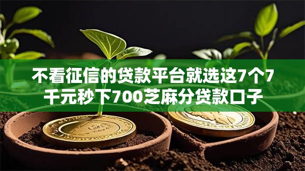 不看征信的贷款平台就选这7个7千元秒下700芝麻分贷款口子 不看征信的贷款平台就选这7个7千元秒下700芝麻分贷款口子