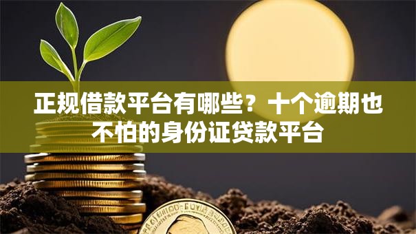 正规借款平台有哪些？十个逾期也不怕的身份证贷款平台