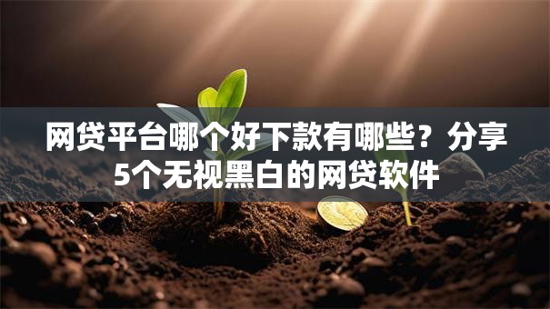 网贷平台哪个好下款有哪些?分享5个无视黑白的网贷软件 网贷平台哪个好下款有哪些?分享5个无视黑白的网贷软件