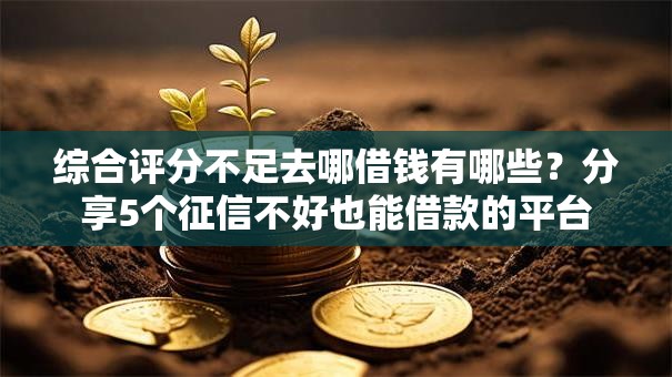 综合评分不足去哪借钱有哪些？分享5个征信不好也能借款的平台