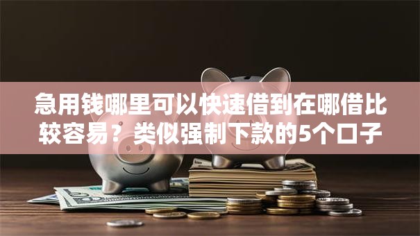 急用钱哪里可以快速借到在哪借比较容易？类似强制下款的5个口子参考