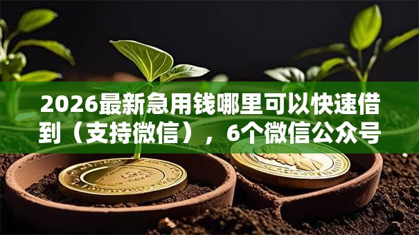 2026最新急用钱哪里可以快速借到(支持微信),6个微信公众号借钱平台无私分享 2026最新急用钱哪里可以快速借到(支持微信),6个微信公众号借钱平台无私分享