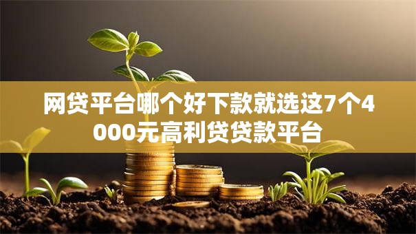网贷平台哪个好下款就选这7个4000元高利贷贷款平台 网贷平台哪个好下款就选这7个4000元高利贷贷款平台