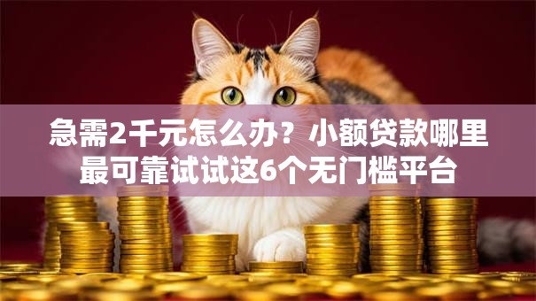 急需2千元怎么办?小额贷款哪里最可靠试试这6个无门槛平台 急需2千元怎么办?小额贷款哪里最可靠试试这6个无门槛平台