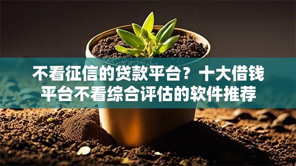 不看征信的贷款平台?十大借钱平台不看综合评估的软件推荐 不看征信的贷款平台?十大借钱平台不看综合评估的软件推荐