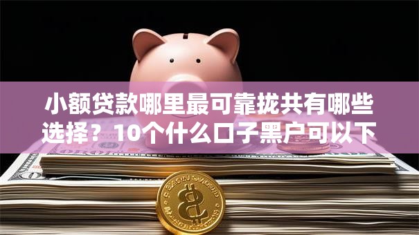 小额贷款哪里最可靠拢共有哪些选择？10个什么口子黑户可以下款详解