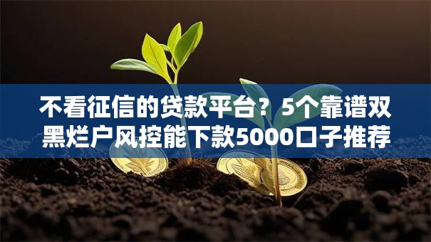 不看征信的贷款平台？5个靠谱双黑烂户风控能下款5000口子推荐