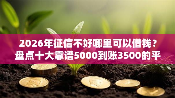 2026年征信不好哪里可以借钱？盘点十大靠谱5000到账3500的平台
