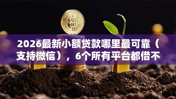 2026最新小额贷款哪里最可靠(支持微信),6个所有平台都借不到钱了还能借到钱的平台无私分享 2026最新小额贷款哪里最可靠(支持微信),6个所有平台都借不到钱了还能借到钱的平台无私分享